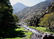 excursione asni parc toubkal