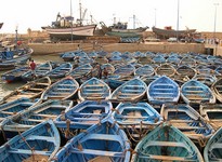 excursione essaouira